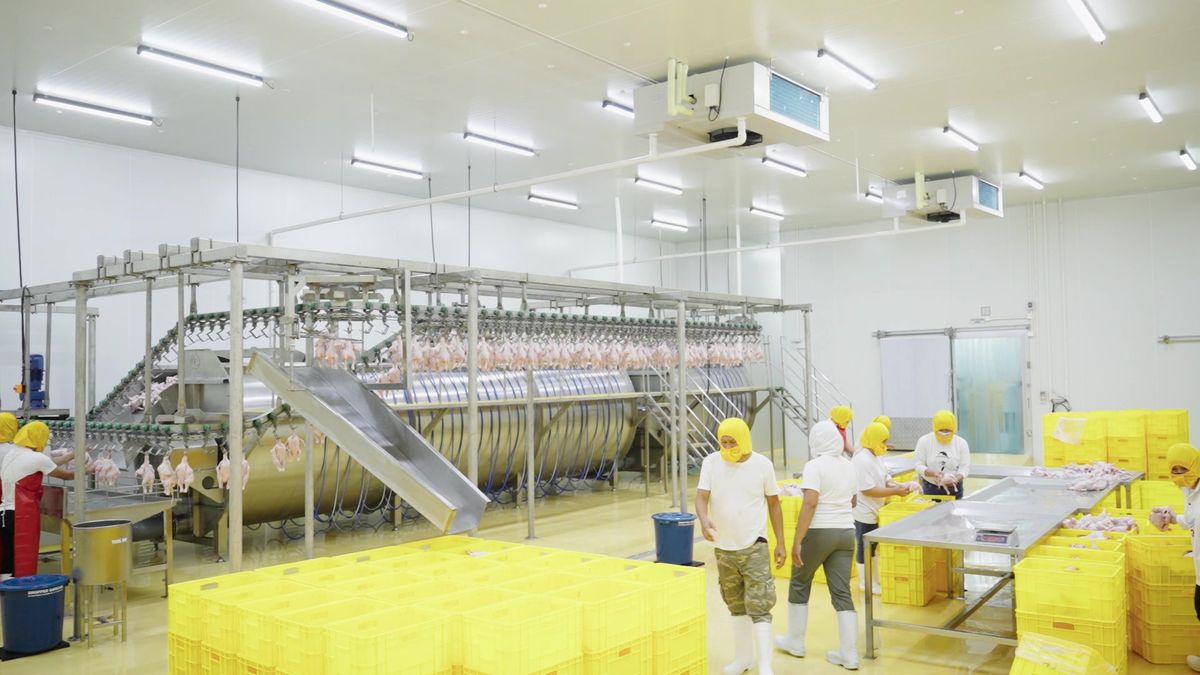 Screw chiller and processing line inside the Monkayo plant