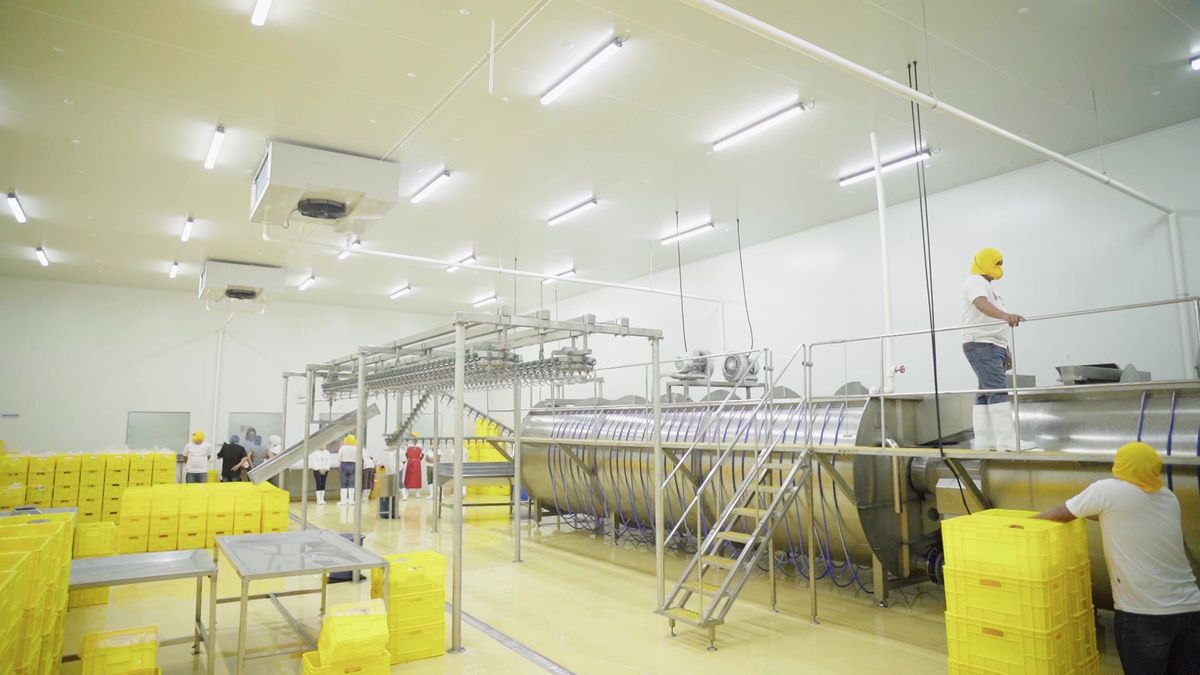 Processing hall with stainless equipment at Monkayo