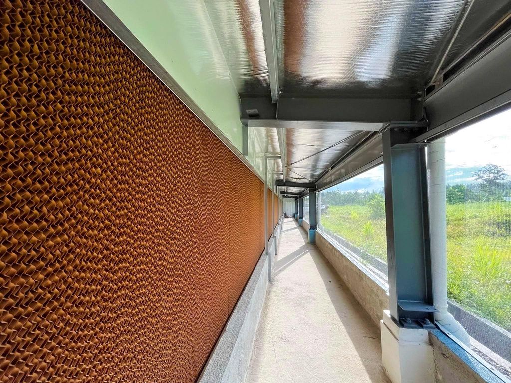 Evaporative cooling pads inside a Pantukan broiler house